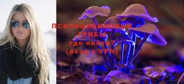 скорость Заводоуковск