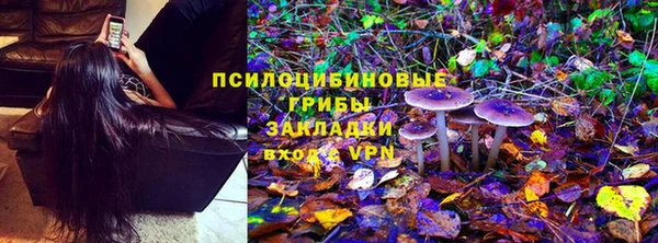 ешки Заволжье