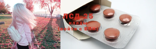 трава Заволжск