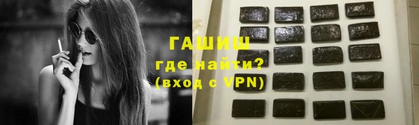 ECSTASY Ельня