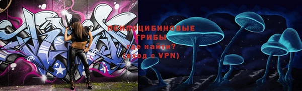 ешки Заволжье